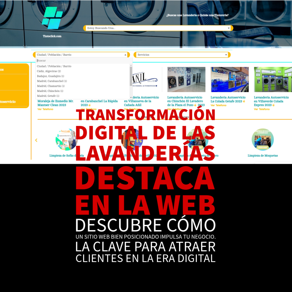 obtener sitio web para lavanderias y tintorerias